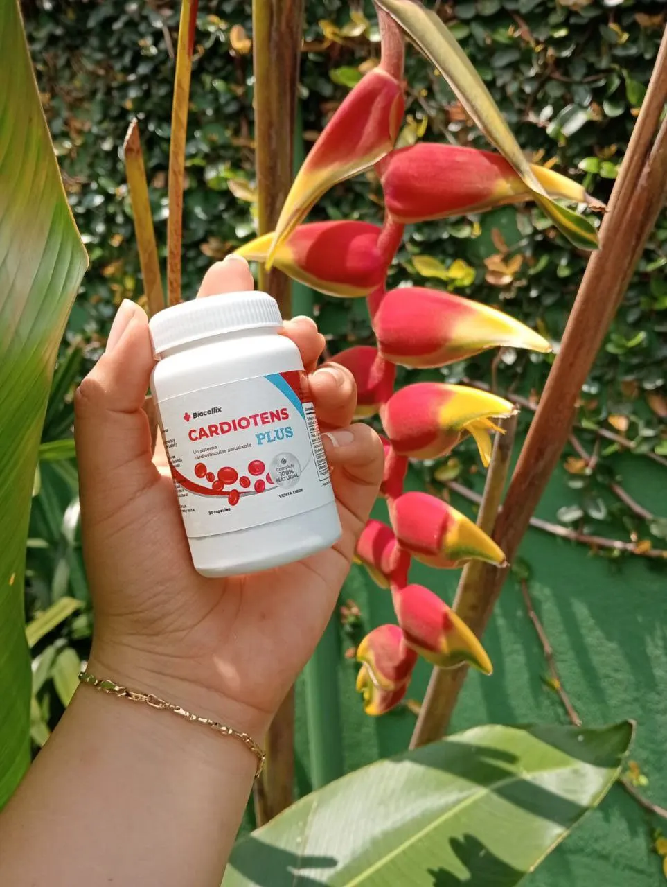 Frasco de Cardiotens Plus en la mano junto a flores de heliconia